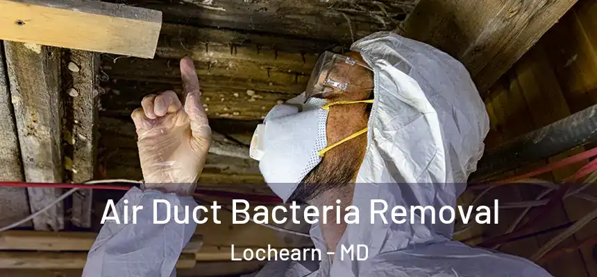 Air Duct Bacteria Removal Lochearn - MD