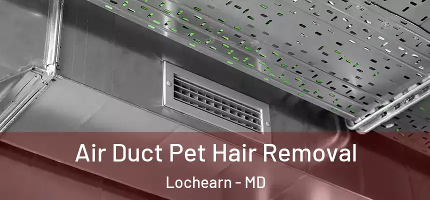  Air Duct Pet Hair Removal Lochearn - MD