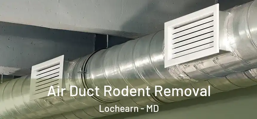 Air Duct Rodent Removal Lochearn - MD