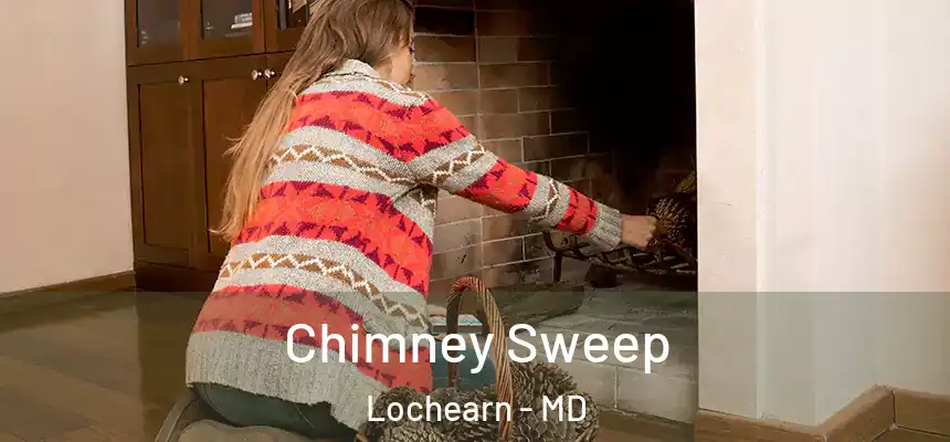 Chimney Sweep Lochearn - MD
