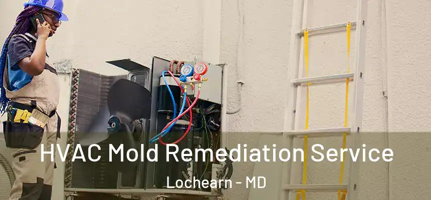 HVAC Mold Remediation Service Lochearn - MD