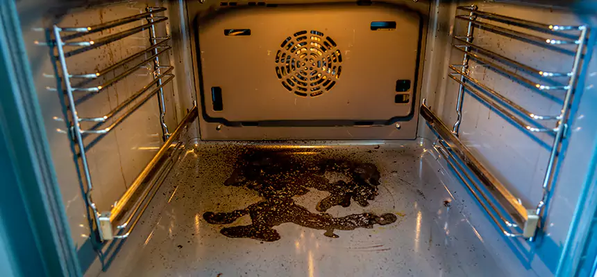 Our Dryer Vent Mold Cleaning Services in Lochearn, MD