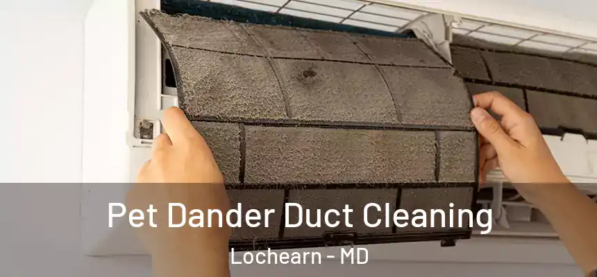  Pet Dander Duct Cleaning Lochearn - MD
