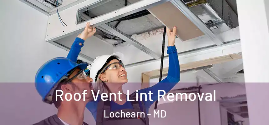 Roof Vent Lint Removal Lochearn - MD