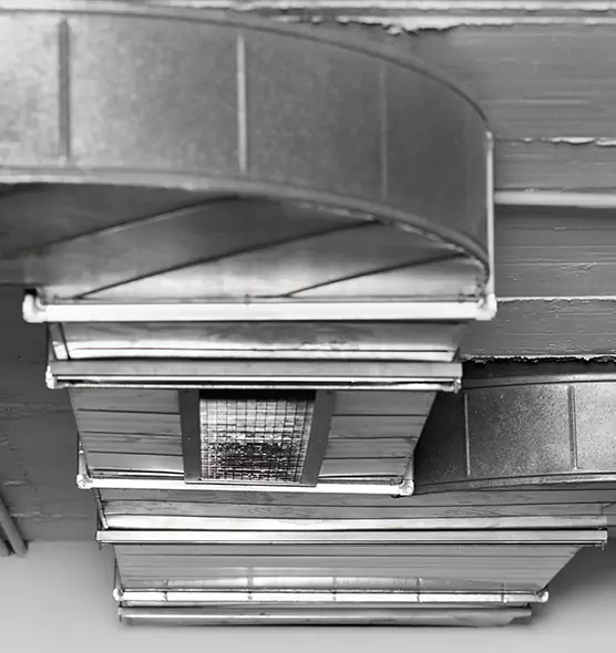 Professional Air Duct Pet Hair Removal in Lochearn, MD