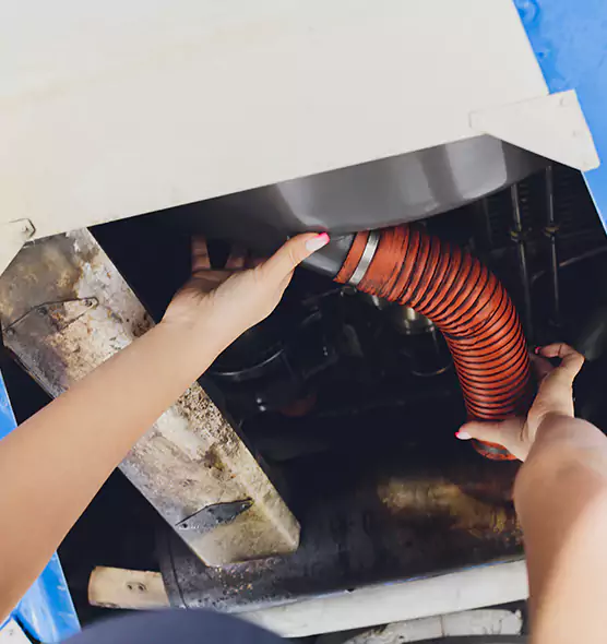 About Air Duct Virus Disinfection in Lochearn, MD