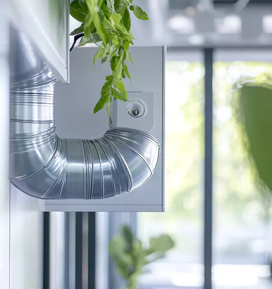 Professional Eco-Friendly Duct Cleaning Services in Lochearn, MD