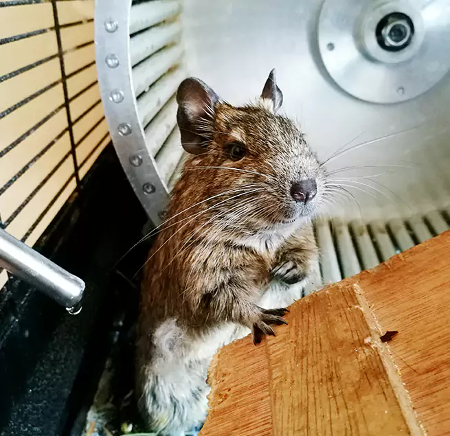 Why Homeowners & Businesses Trust Us Lochearn, MD