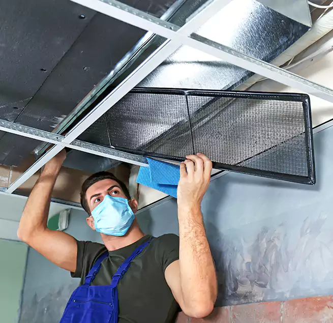 Why Homeowners Businesses Trust Us in Lochearn, MD