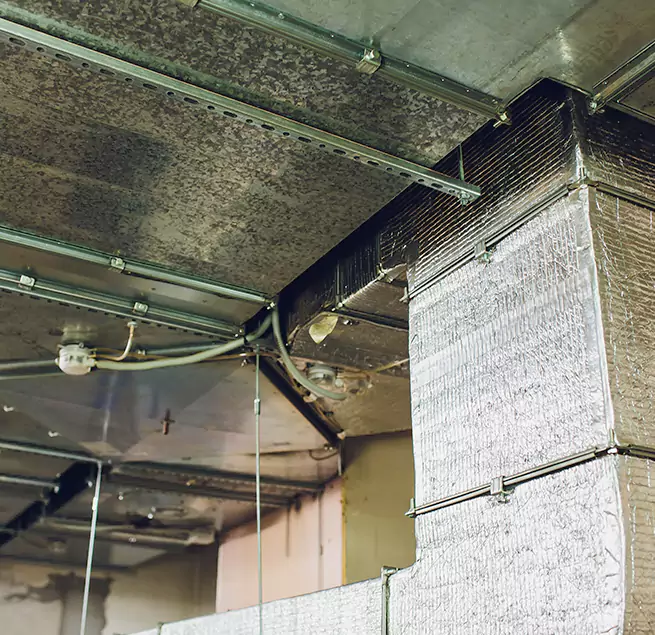 Why Homeowners & Businesses Trust Us in Lochearn, MD?